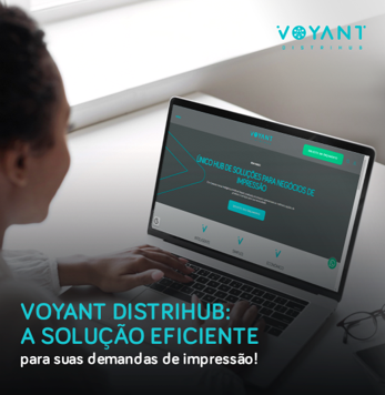 Soluções Voyant Distrihub