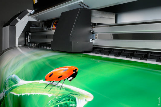 Service - Conversion of Eco-solvent or Sublimation Machines - With Epson 2 heads